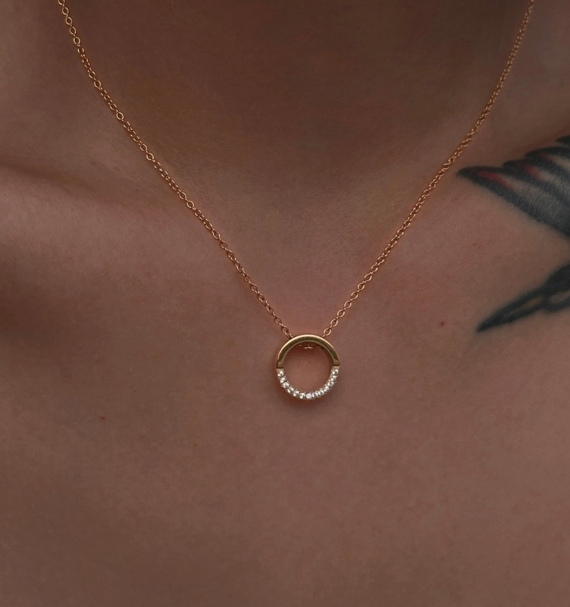Stahlhalsband mit 18K Vergoldung + CZ 42+5 cm